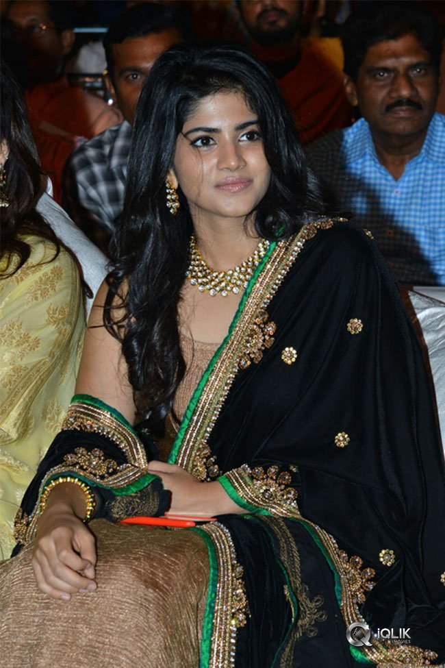 Chal-Mohan-Ranga-Pre-Release-Function-Photos